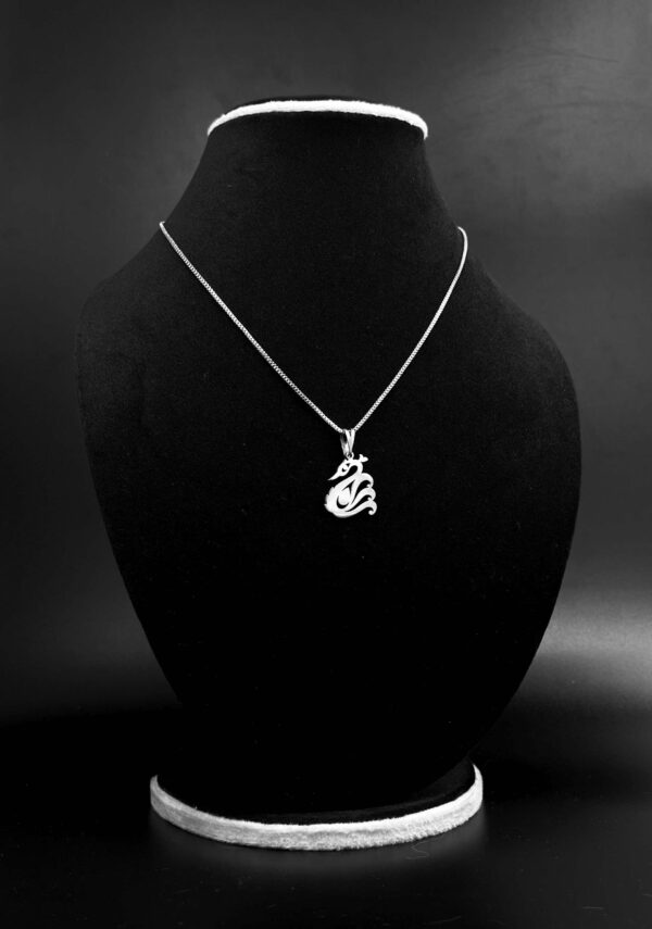 SWAN - Image 2